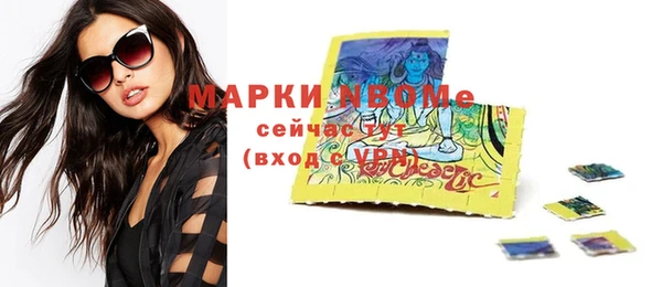 индика Заволжск