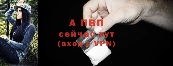 индика Заволжск