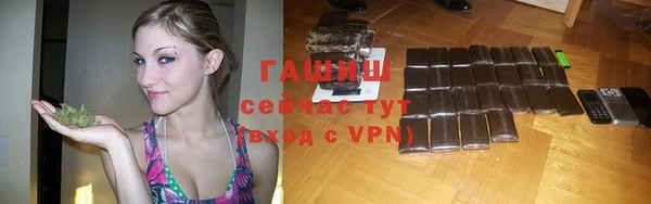 индика Заволжск