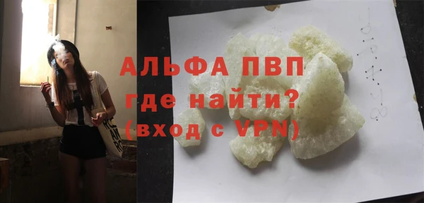 индика Заволжск