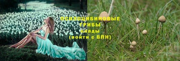 индика Заволжск