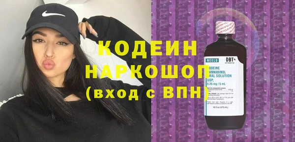 индика Заволжск