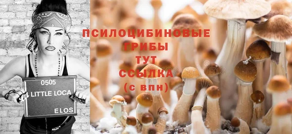 индика Заволжск