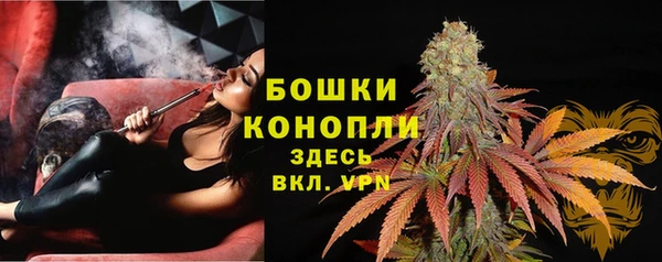 индика Заволжск